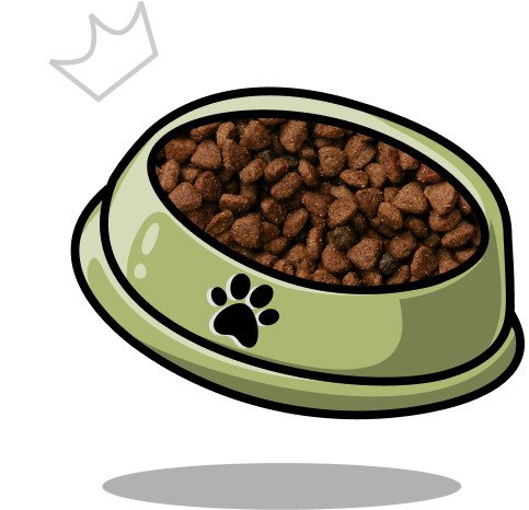 Dog Bowl